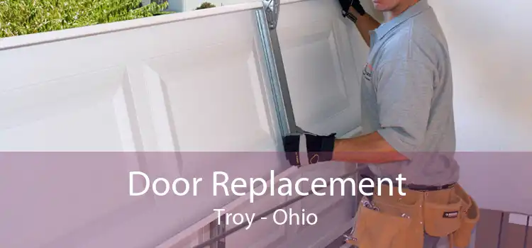 Door Replacement Troy - Ohio