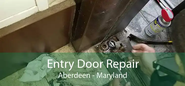 Entry Door Repair Aberdeen - Maryland