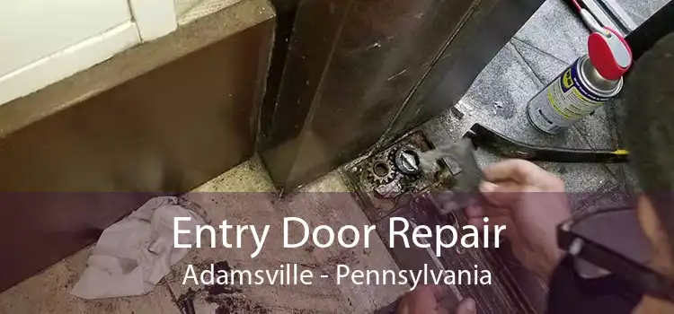 Entry Door Repair Adamsville - Pennsylvania