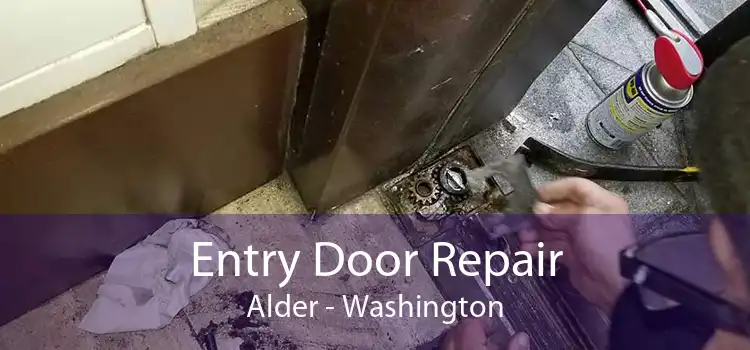 Entry Door Repair Alder - Washington