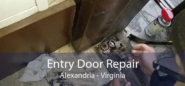 Entry Door Repair Alexandria - Virginia