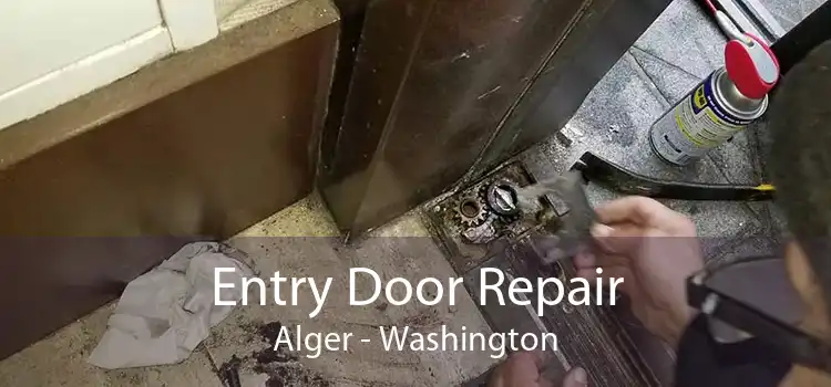 Entry Door Repair Alger - Washington