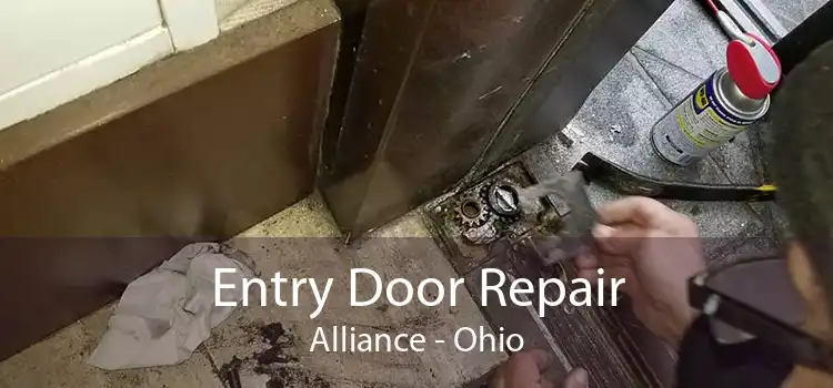 Entry Door Repair Alliance - Ohio