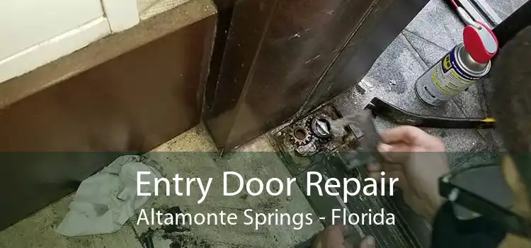 Entry Door Repair Altamonte Springs - Florida