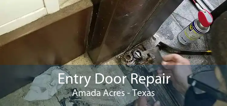 Entry Door Repair Amada Acres - Texas