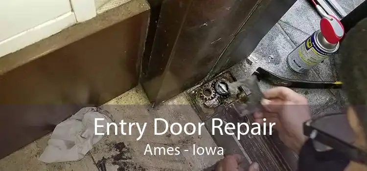 Entry Door Repair Ames - Iowa