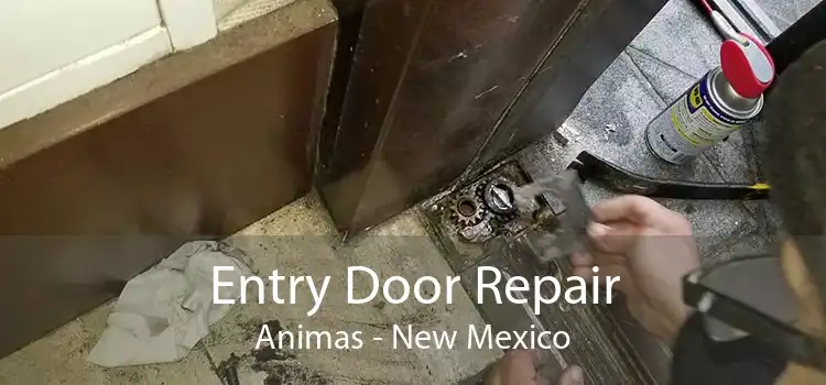 Entry Door Repair Animas - New Mexico