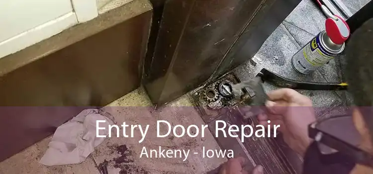 Entry Door Repair Ankeny - Iowa