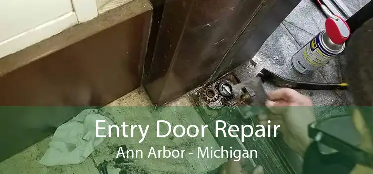 Entry Door Repair Ann Arbor - Michigan