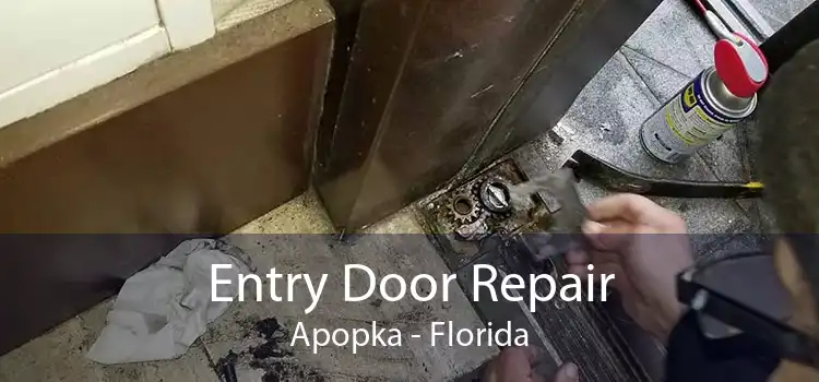 Entry Door Repair Apopka - Florida
