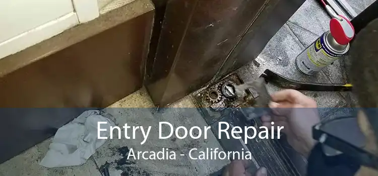 Entry Door Repair Arcadia - California