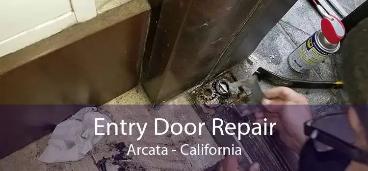 Entry Door Repair Arcata - California
