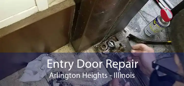 Entry Door Repair Arlington Heights - Illinois