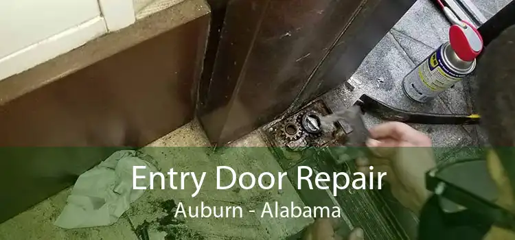 Entry Door Repair Auburn - Alabama