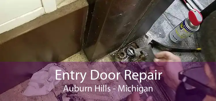 Entry Door Repair Auburn Hills - Michigan