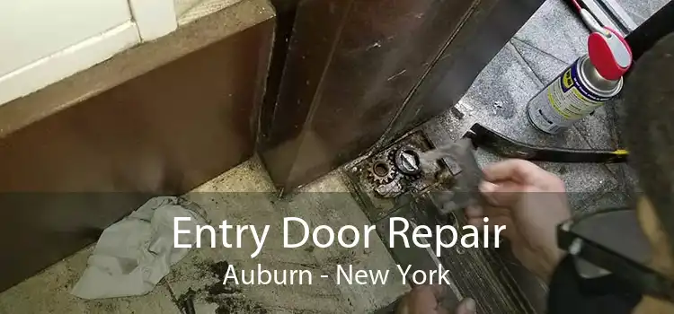 Entry Door Repair Auburn - New York