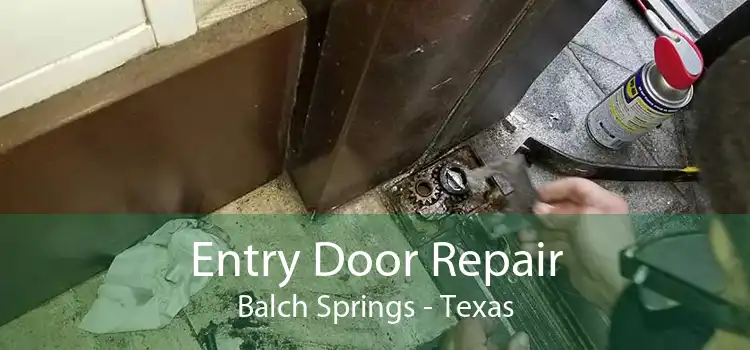 Entry Door Repair Balch Springs - Texas