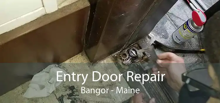 Entry Door Repair Bangor - Maine