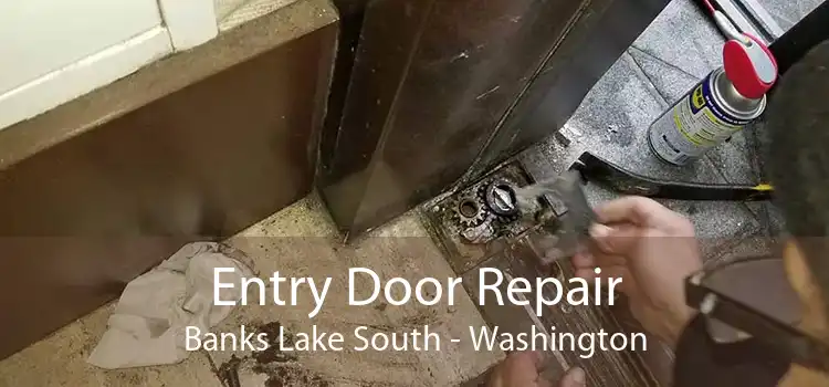 Entry Door Repair Banks Lake South - Washington