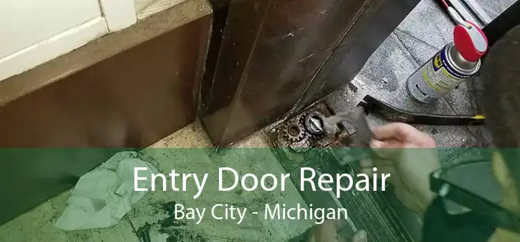 Entry Door Repair Bay City - Michigan