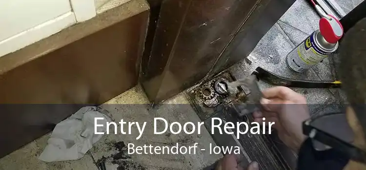 Entry Door Repair Bettendorf - Iowa