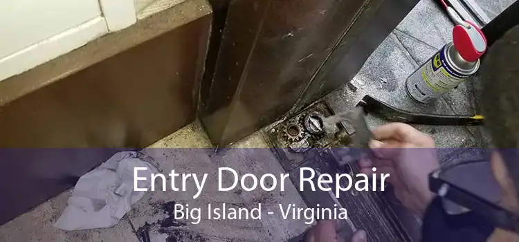 Entry Door Repair Big Island - Virginia