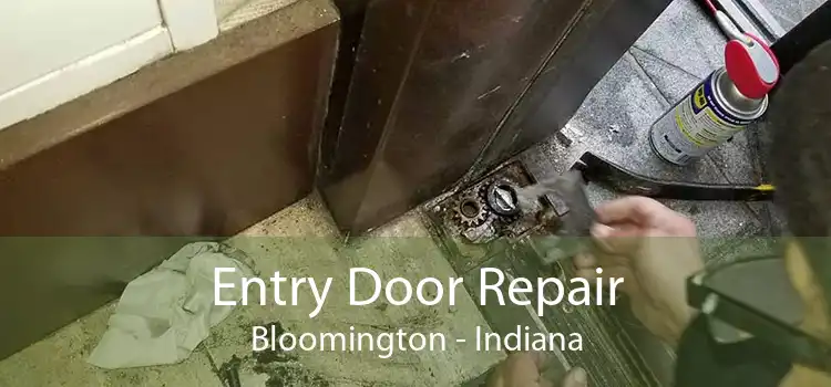 Entry Door Repair Bloomington - Indiana