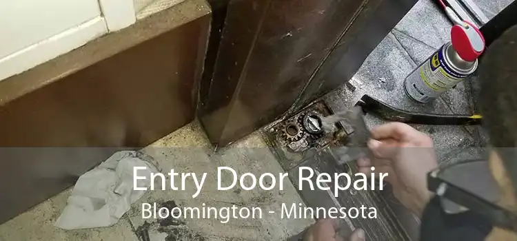 Entry Door Repair Bloomington - Minnesota