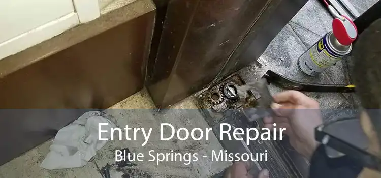 Entry Door Repair Blue Springs - Missouri