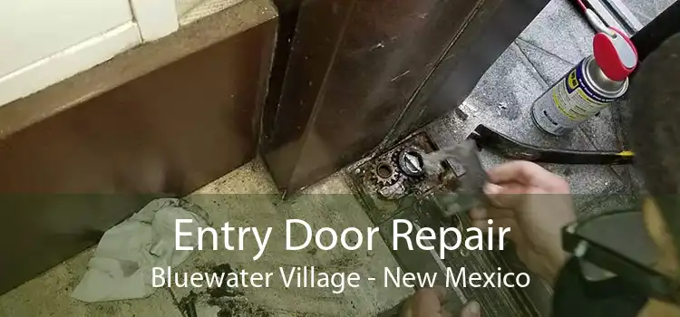 Entry Door Repair Bluewater Village - New Mexico