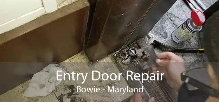 Entry Door Repair Bowie - Maryland