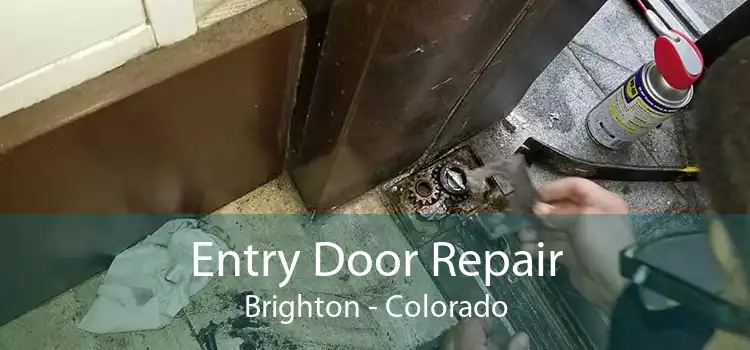 Entry Door Repair Brighton - Colorado