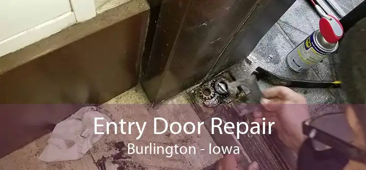 Entry Door Repair Burlington - Iowa