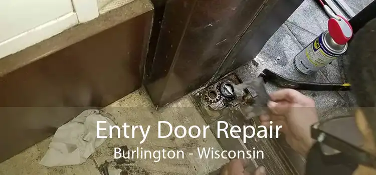 Entry Door Repair Burlington - Wisconsin