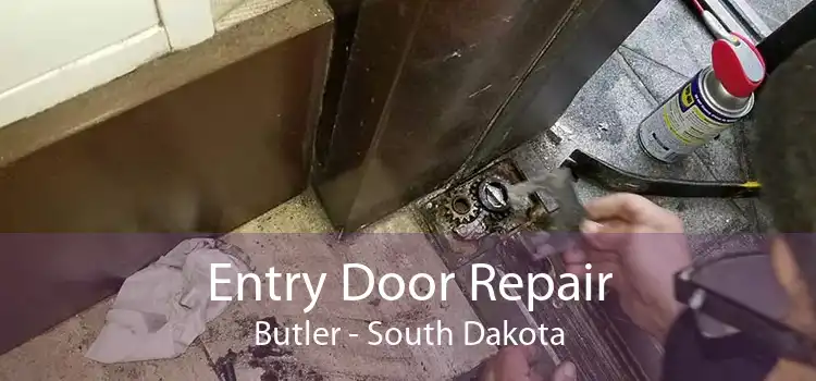 Entry Door Repair Butler - South Dakota