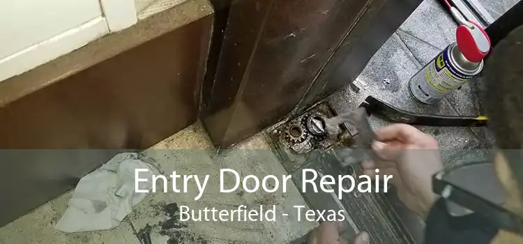 Entry Door Repair Butterfield - Texas
