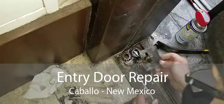 Entry Door Repair Caballo - New Mexico