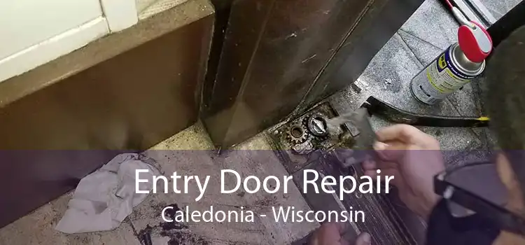 Entry Door Repair Caledonia - Wisconsin