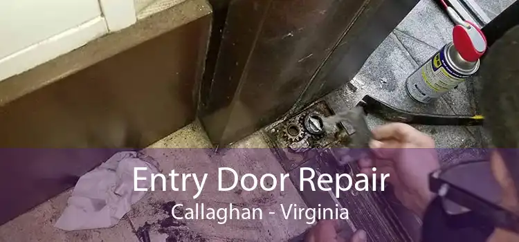 Entry Door Repair Callaghan - Virginia