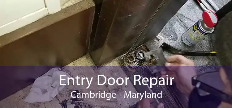Entry Door Repair Cambridge - Maryland