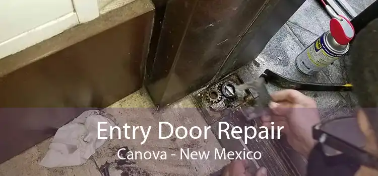 Entry Door Repair Canova - New Mexico