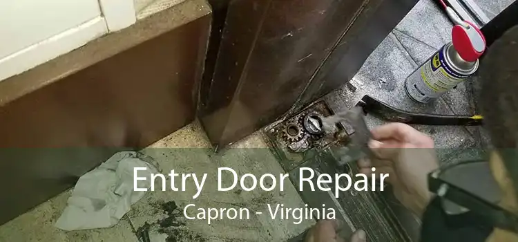 Entry Door Repair Capron - Virginia