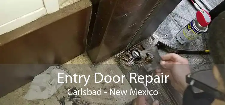 Entry Door Repair Carlsbad - New Mexico