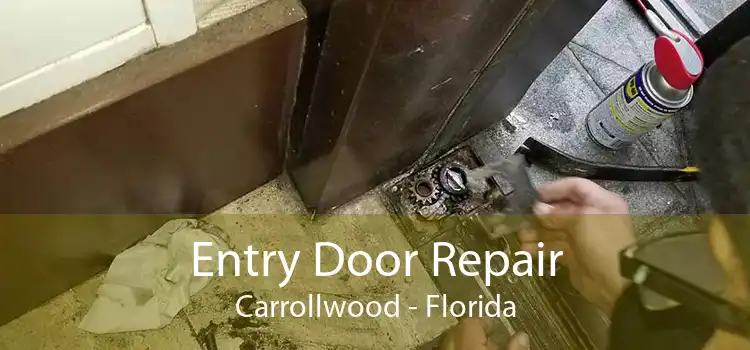 Entry Door Repair Carrollwood - Florida