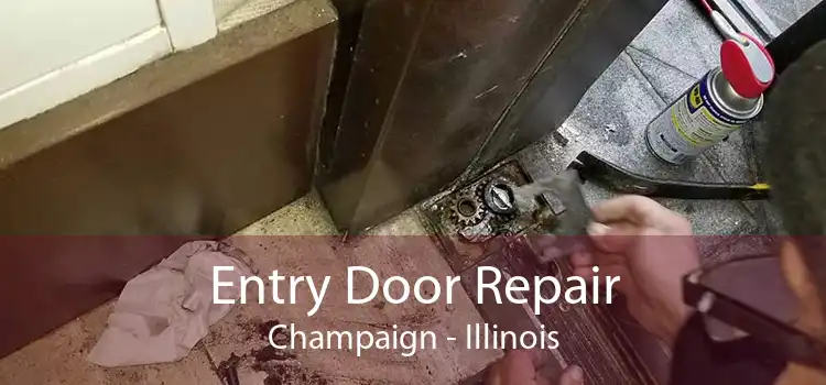 Entry Door Repair Champaign - Illinois