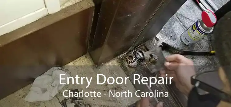 Entry Door Repair Charlotte - North Carolina