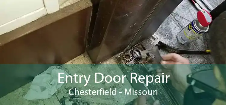 Entry Door Repair Chesterfield - Missouri