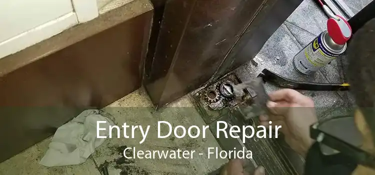 Entry Door Repair Clearwater - Florida