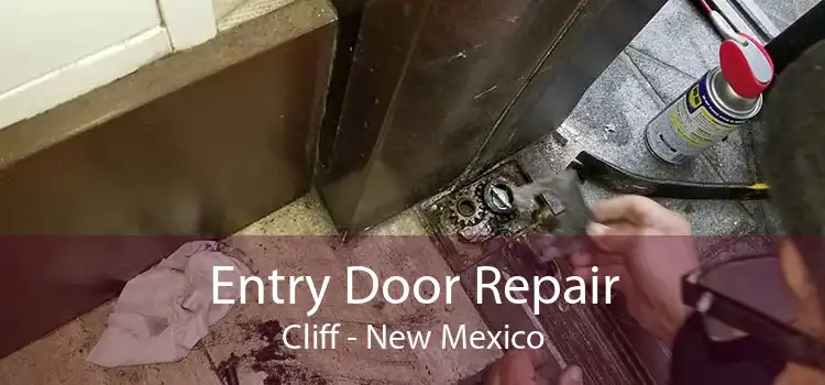 Entry Door Repair Cliff - New Mexico
