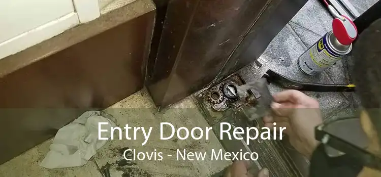 Entry Door Repair Clovis - New Mexico